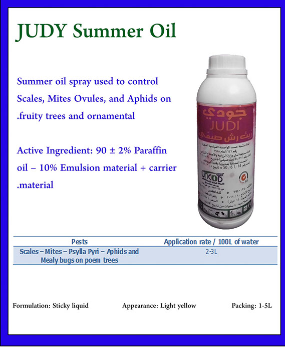 %_tempFileNameJUDY%20Summer%20Oil%