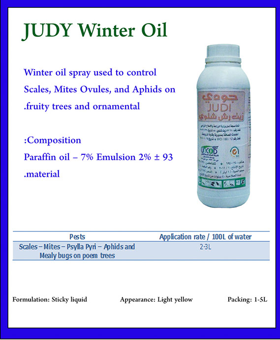 %_tempFileNameJUDY%20Winter%20Oil%