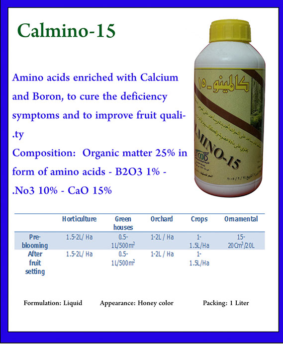 %_tempFileNameCalmino-15%